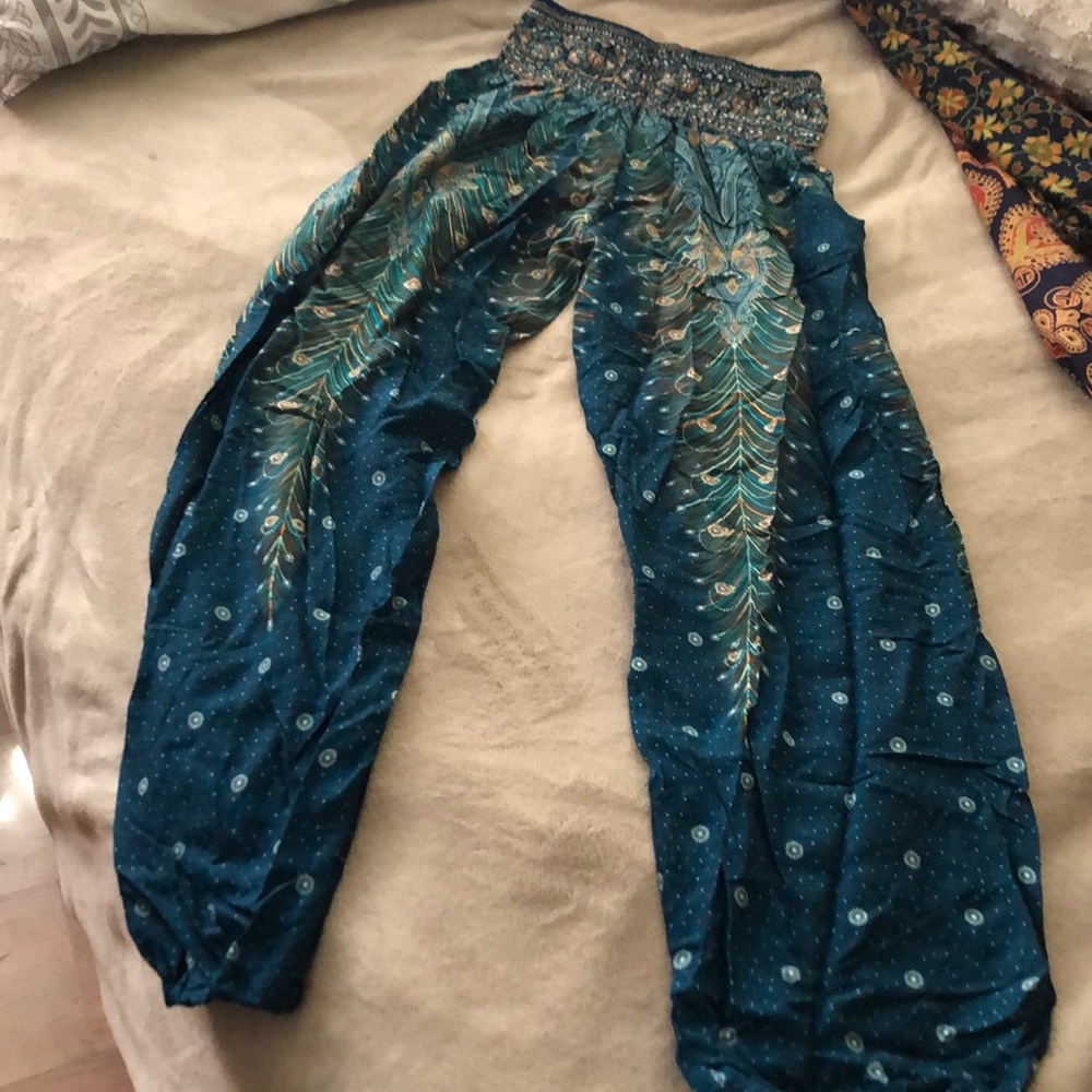 Turquoise harem pants